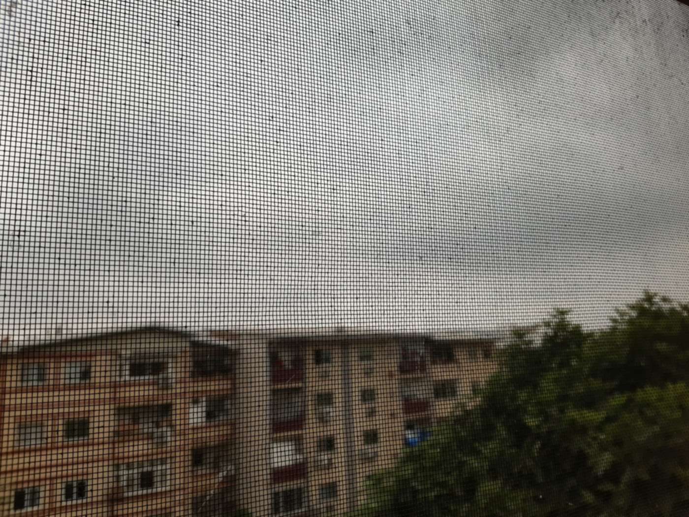 Vue sur des immeubles à travers la toile d’une moustiquaire