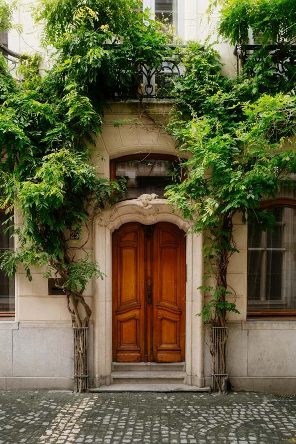 Porte d’entrée en bois cintrée au milieu de la vigne vierge