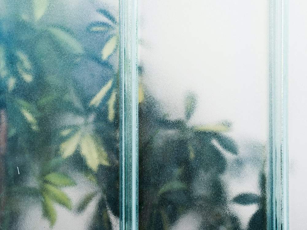 Plante vue à travers un verre dépoli qui floute les formes